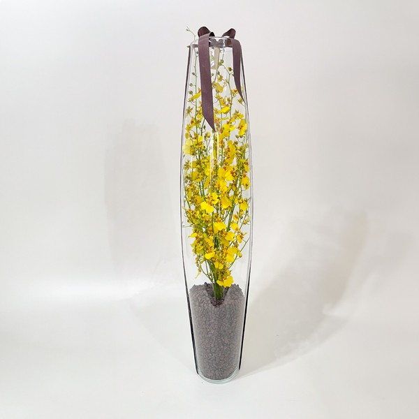 Arranjo de Orquídea Chuva de Ouro em Torpedo - G