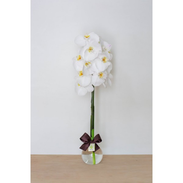 Arranjo de Orquídea Phalaenopsis Branca em Balão - G