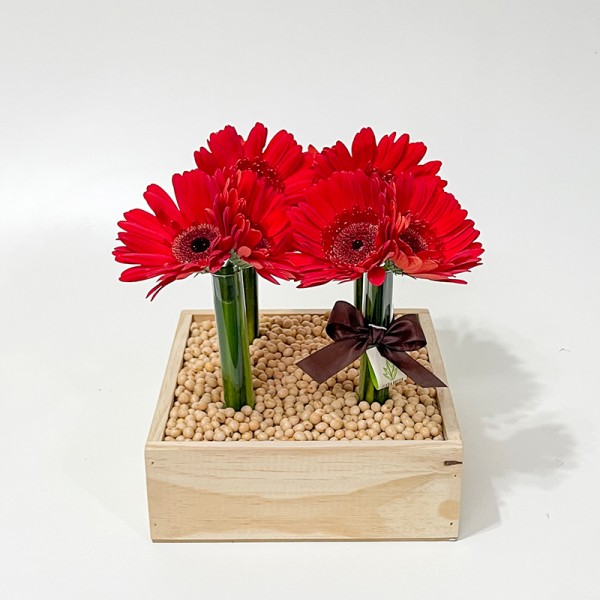 Arranjo de Gerbera Vermelha em Caixa de Madeira - M