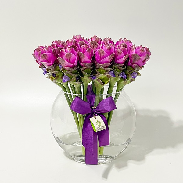 Arranjo de Curcuma Pink em Vaso Folha - G