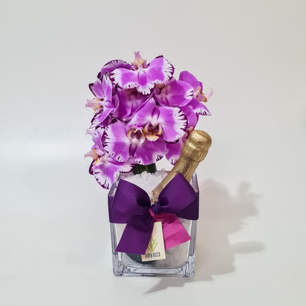 Kit Arranjo de Orquídea Phalaenopsis Pink e Baby Chandon em Cubo de Vidro - P