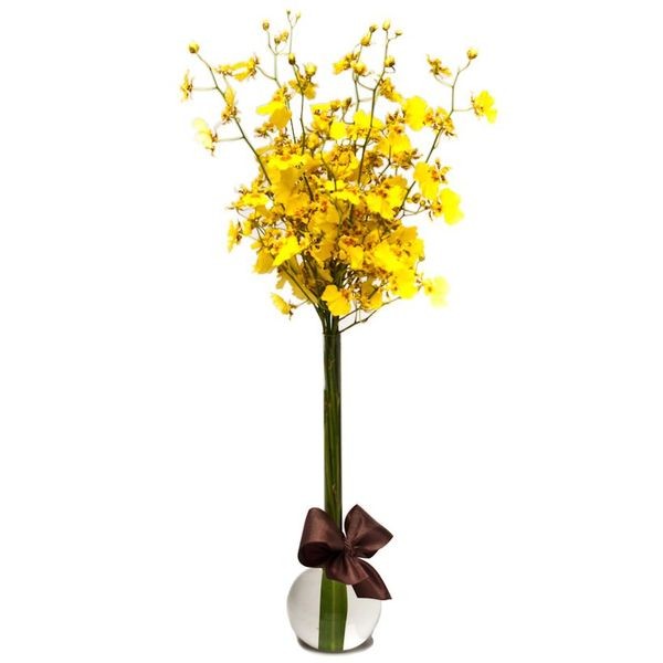 Arranjo de Orquídea Chuva de Ouro em Balão - P