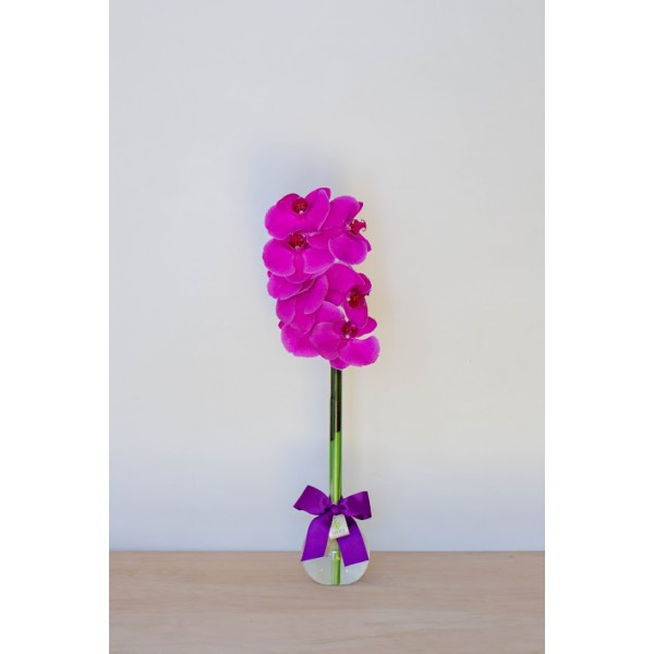 Arranjo de Orquídea Phalaenopsis Pink em Balão - G