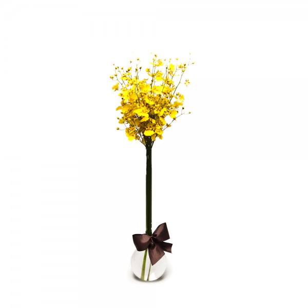 Arranjo de Orquídea Chuva de Ouro em Balão - G