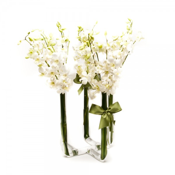 Arranjo de Orquídea Denphale Branca em Castiçal 5 Pontas - G