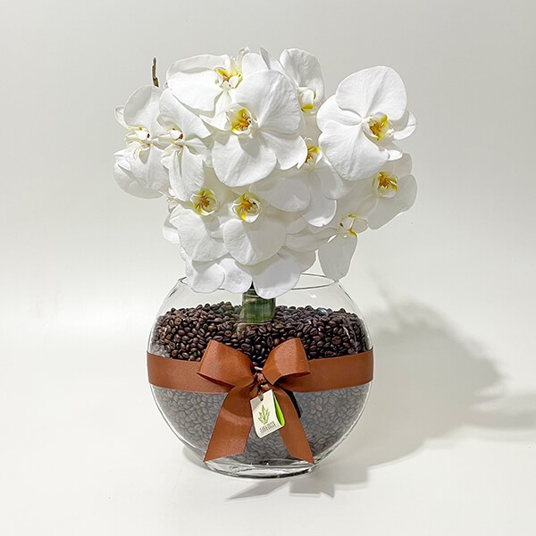 Arranjo de Phalaenopsis Branca em Vaso Folha - G