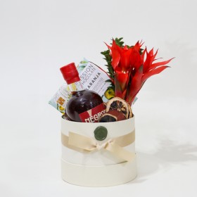 Kit Arranjo de Bromélia em Caixa Redonda de Papelão + Negroni + Chocolate - M