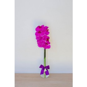 Arranjo de Orquídea Phalaenopsis Pink em Balão - G