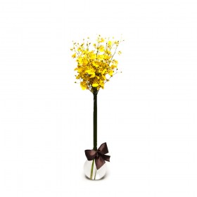 Arranjo de Orquídea Chuva de Ouro em Balão - G