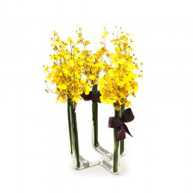 Arranjo de Orquídea Chuva de Ouro em Castiçal 5 Pontas - G