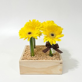 Arranjo de Gerbera Amarela em Caixa de Madeira - M