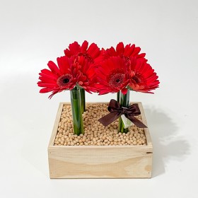 Arranjo de Gerbera Vermelha em Caixa de Madeira - M